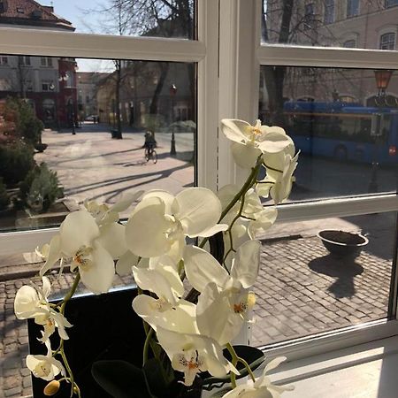 Tiltu 5 Jacuzzi Apartment Klaipėda Buitenkant foto