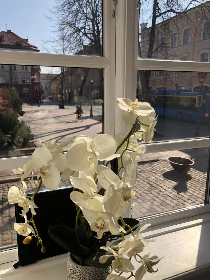 Tiltu 5 Jacuzzi Apartment Klaipėda Buitenkant foto